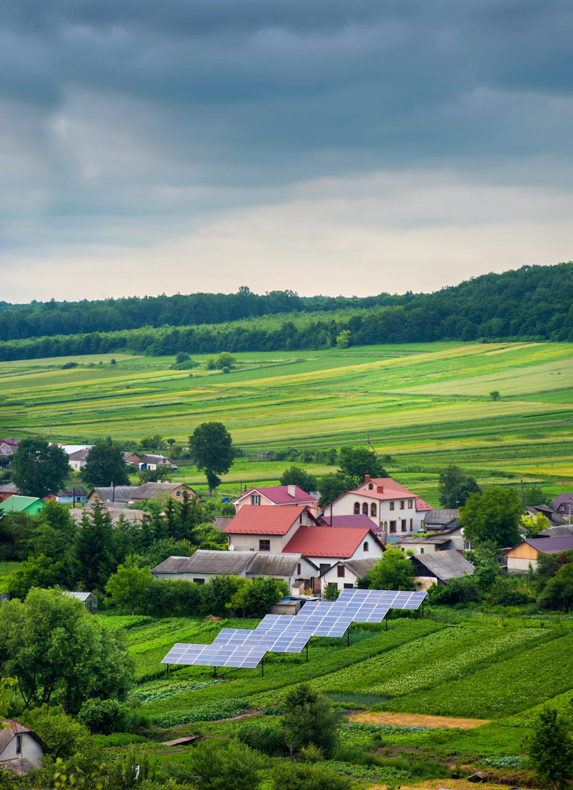 Rénovation énergétique et énergies renouvelables